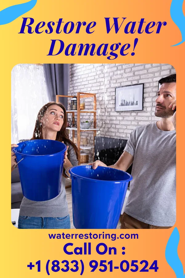 water restoration Pro Water Removal Services Madeira Beach